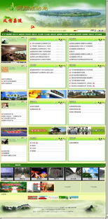 廣安思衡網(wǎng)絡(luò)發(fā)展 一站式企業(yè)信息化解決方案提供商